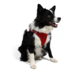 TAILPETZ AIR-MESH HARNESS - Image 7