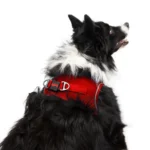 TAILPETZ AIR-MESH HARNESS - Image 5