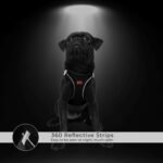 TAILPETZ AIR-MESH HARNESS - Image 11