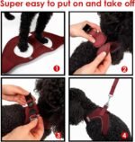 TAILPETZ AIR-MESH HARNESS - Image 13