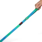 TAILPETZ LEASH
